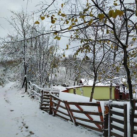 Holiday Home Nanin Konak 2 ヴルドニーク エクステリア 写真
