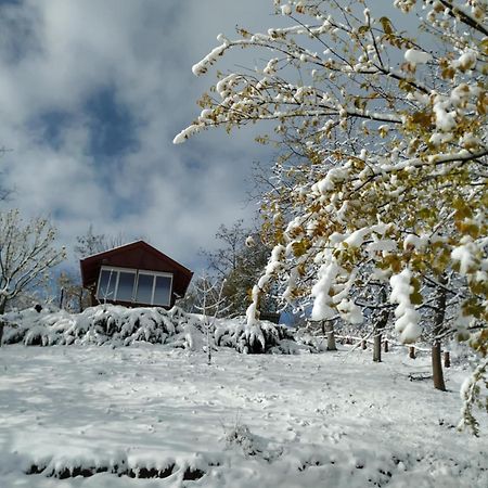 Holiday Home Nanin Konak 2 ヴルドニーク エクステリア 写真