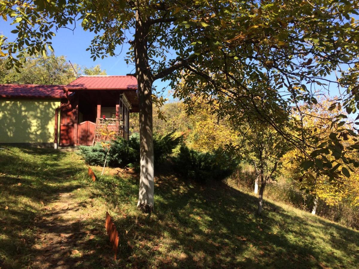 Holiday Home Nanin Konak 2 ヴルドニーク エクステリア 写真