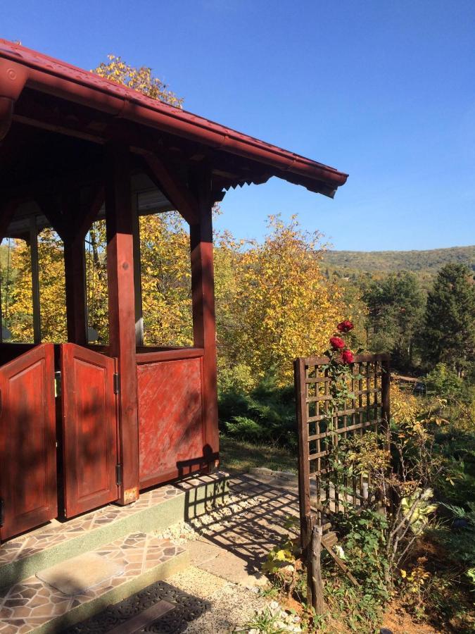 Holiday Home Nanin Konak 2 ヴルドニーク エクステリア 写真