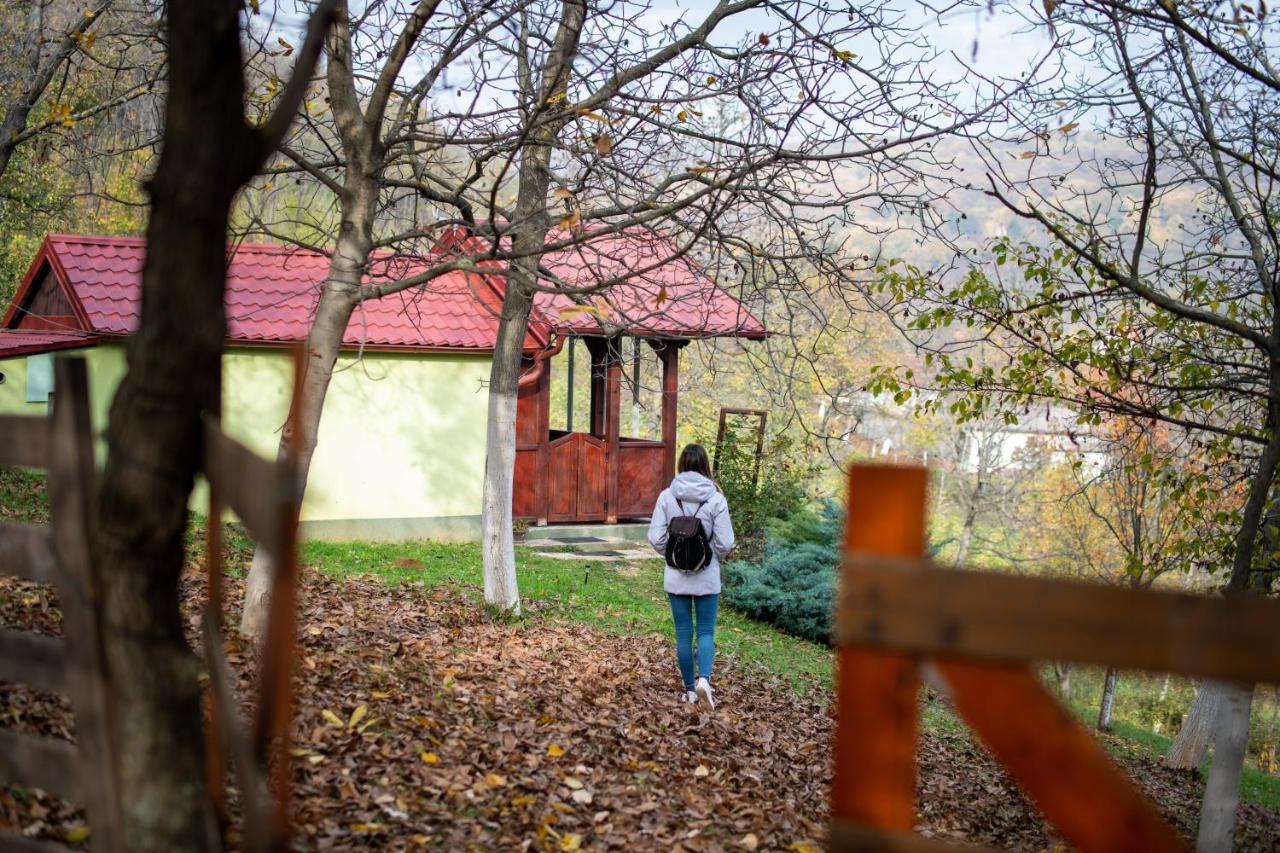 Holiday Home Nanin Konak 2 ヴルドニーク エクステリア 写真