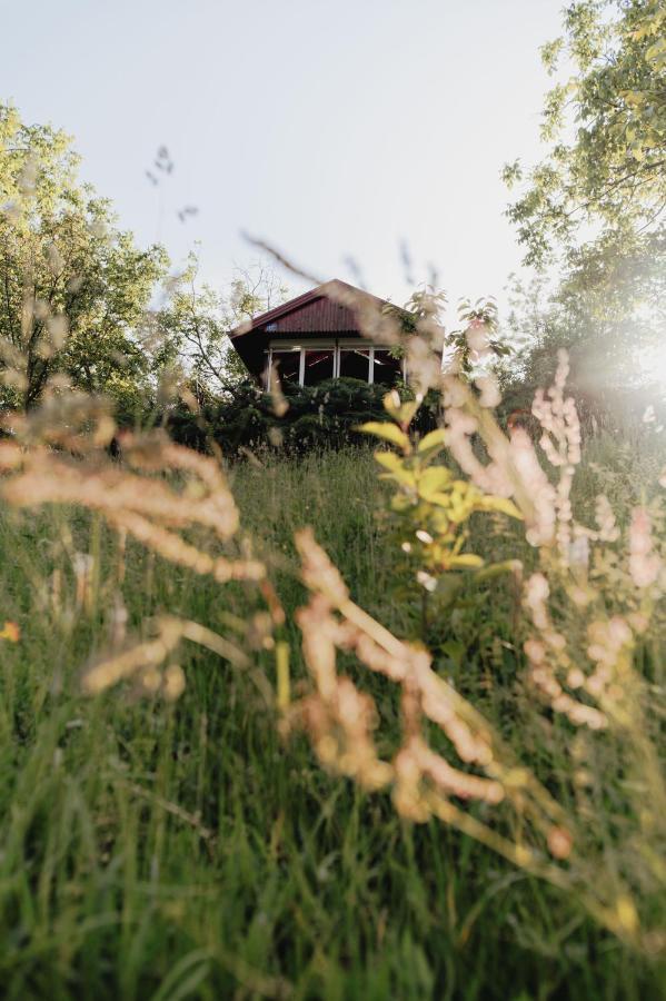 Holiday Home Nanin Konak 2 ヴルドニーク エクステリア 写真