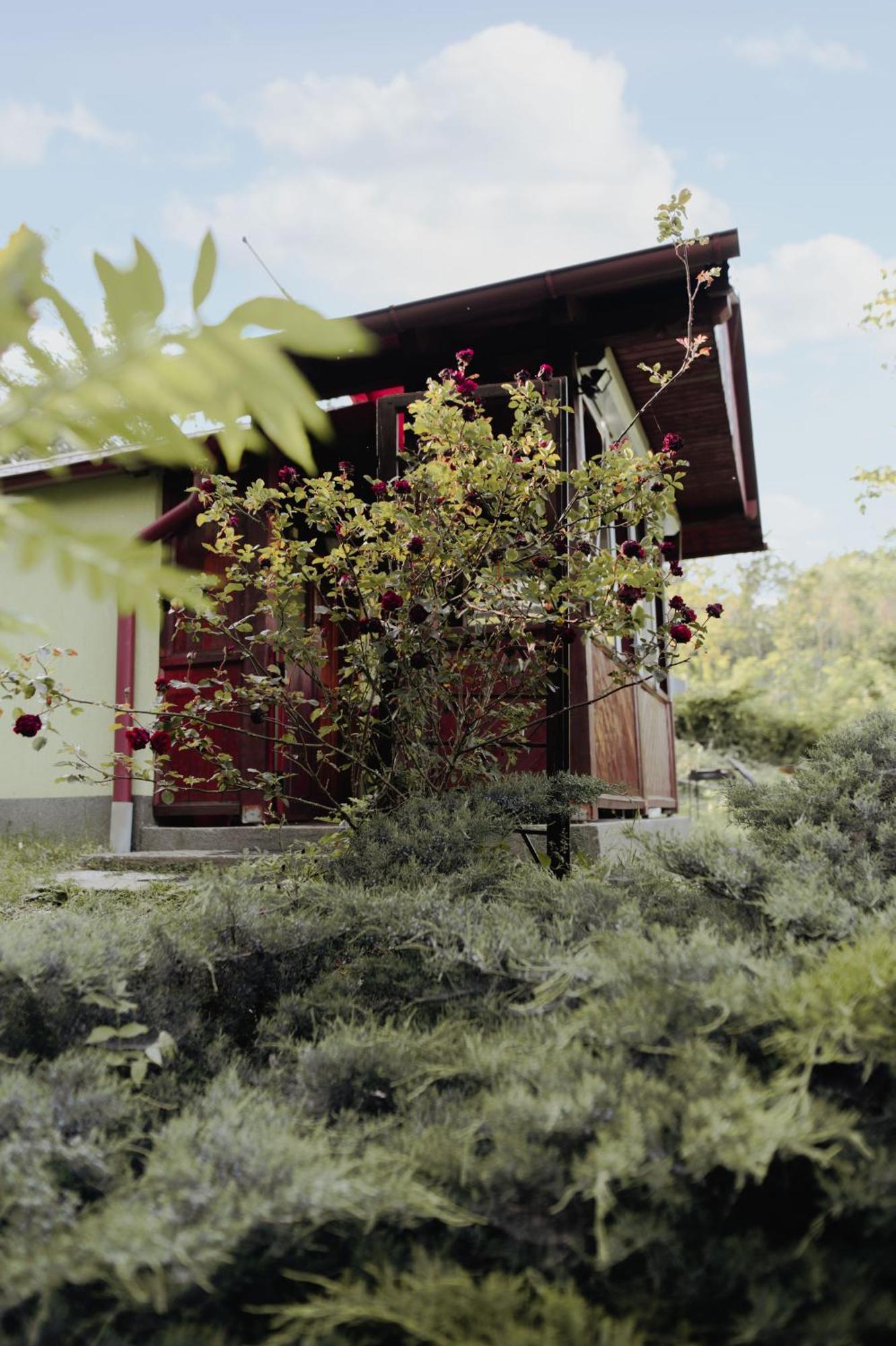 Holiday Home Nanin Konak 2 ヴルドニーク エクステリア 写真