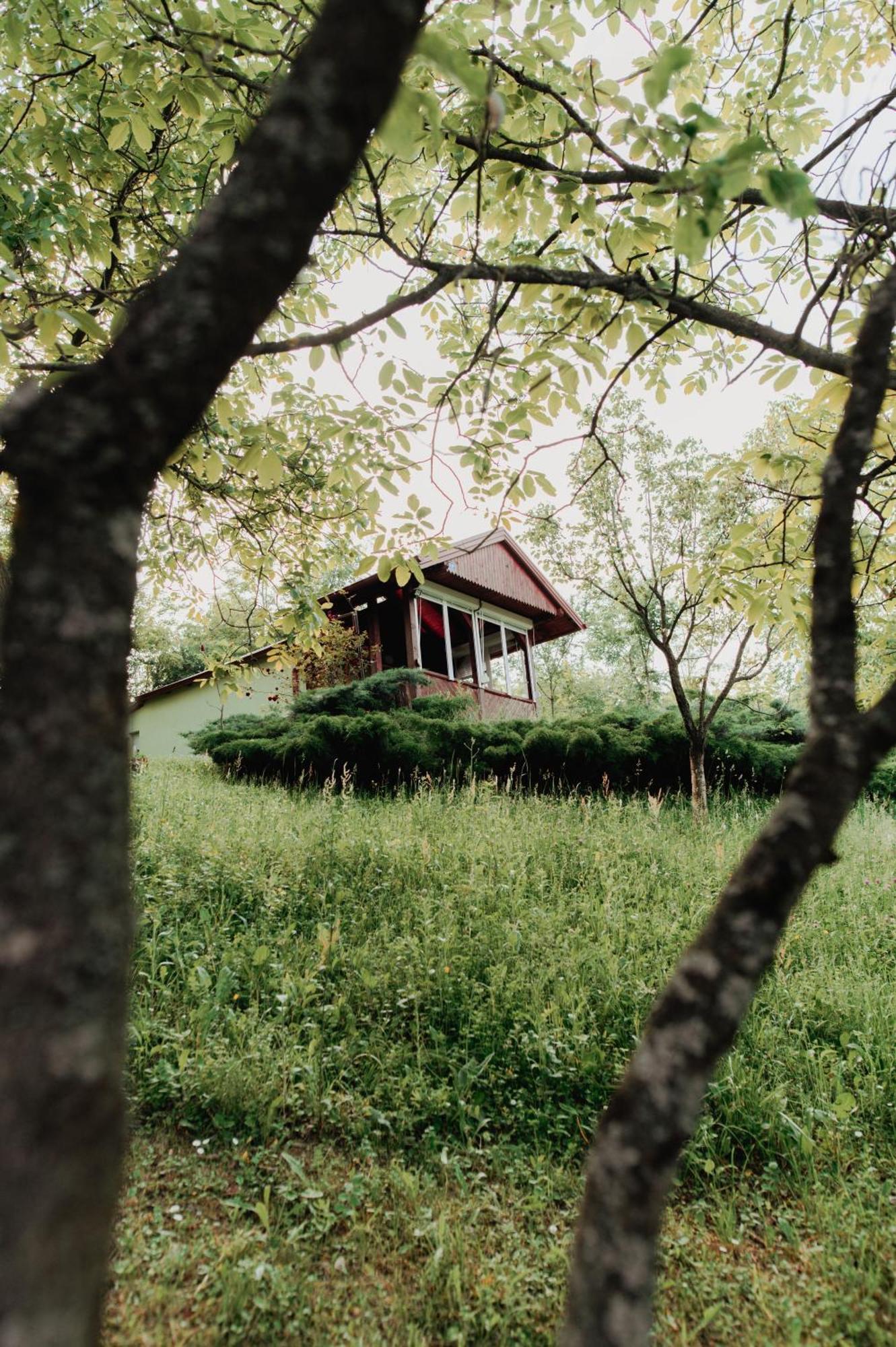 Holiday Home Nanin Konak 2 ヴルドニーク エクステリア 写真