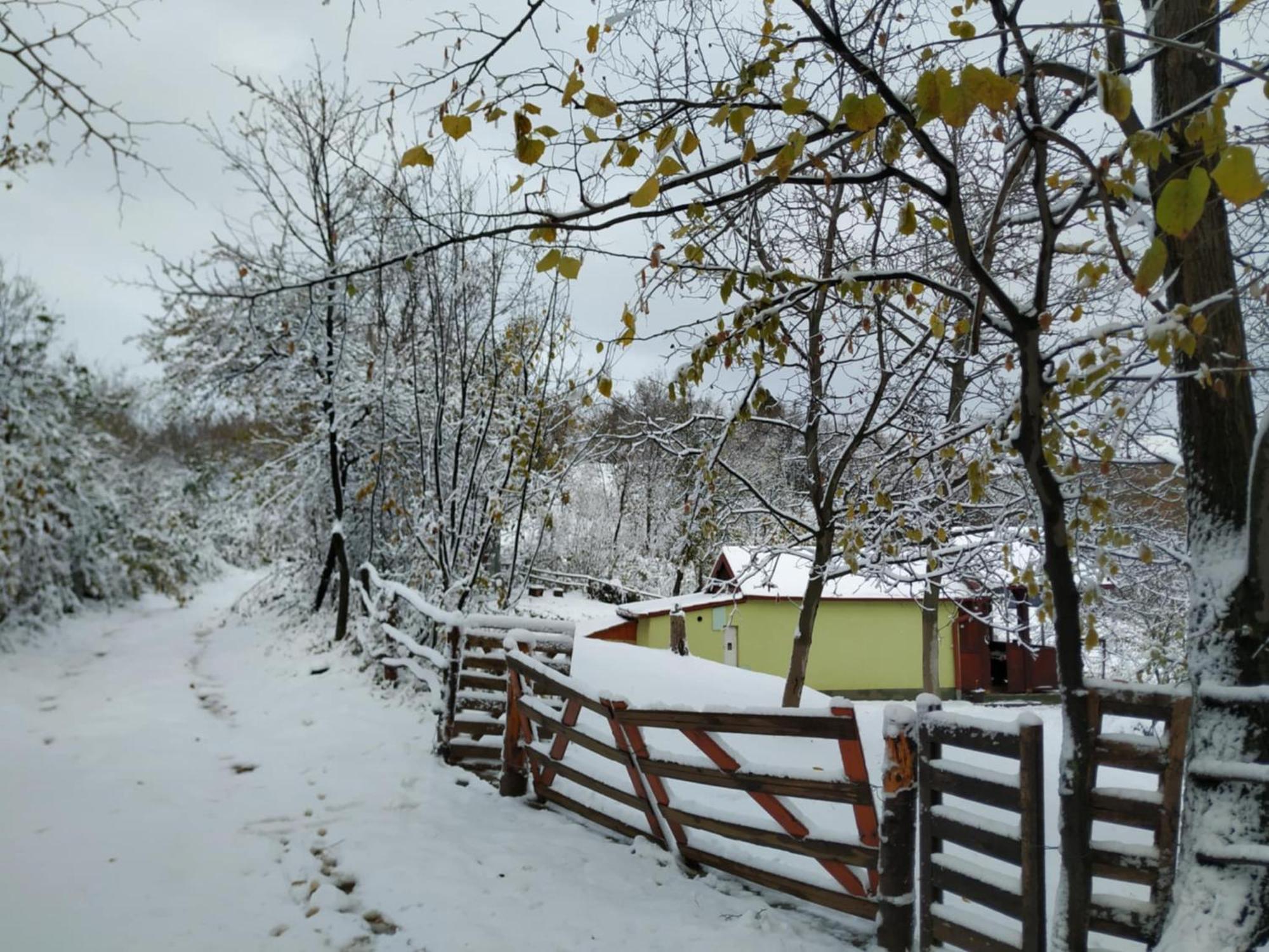 Holiday Home Nanin Konak 2 ヴルドニーク エクステリア 写真
