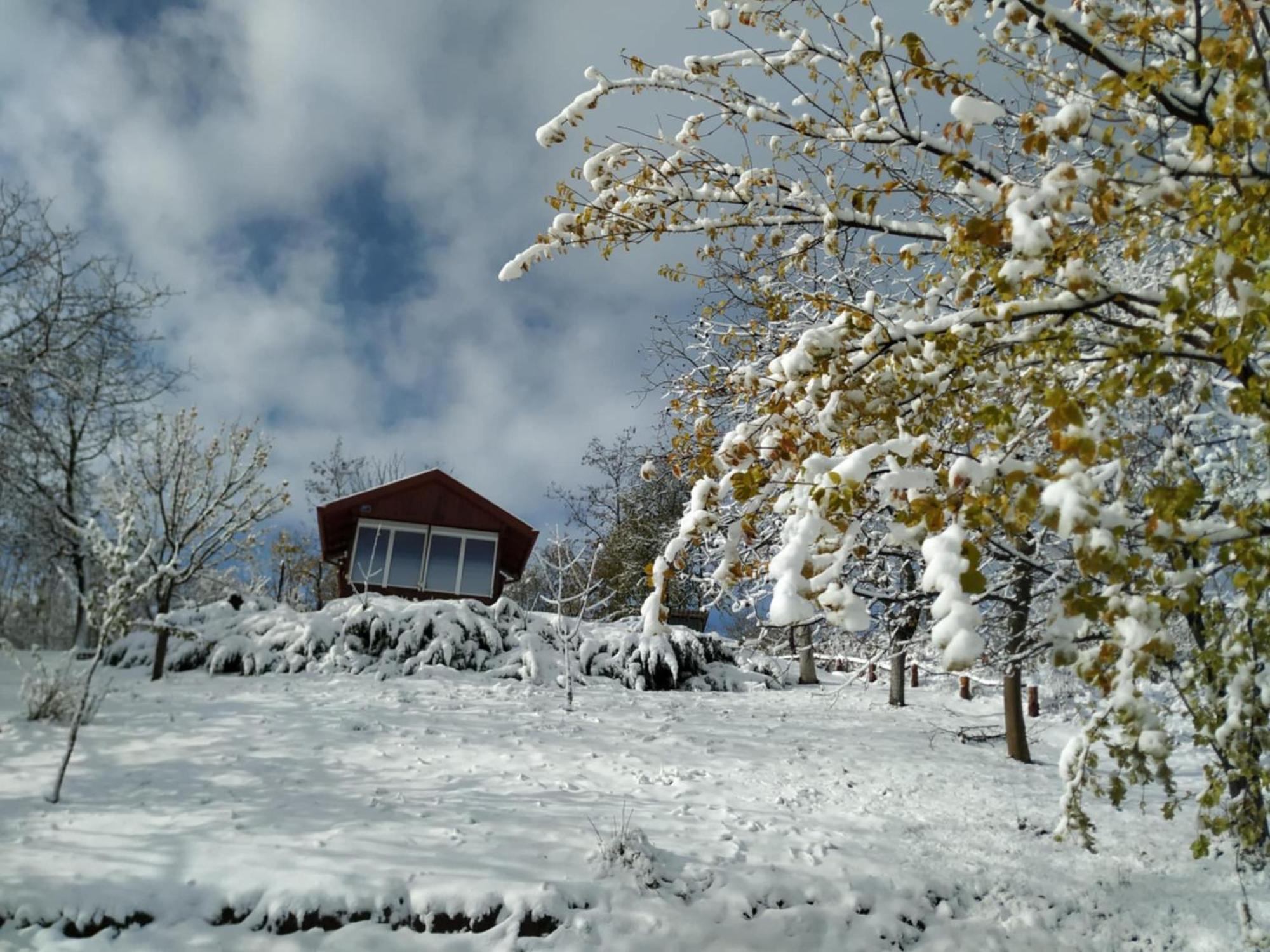 Holiday Home Nanin Konak 2 ヴルドニーク エクステリア 写真