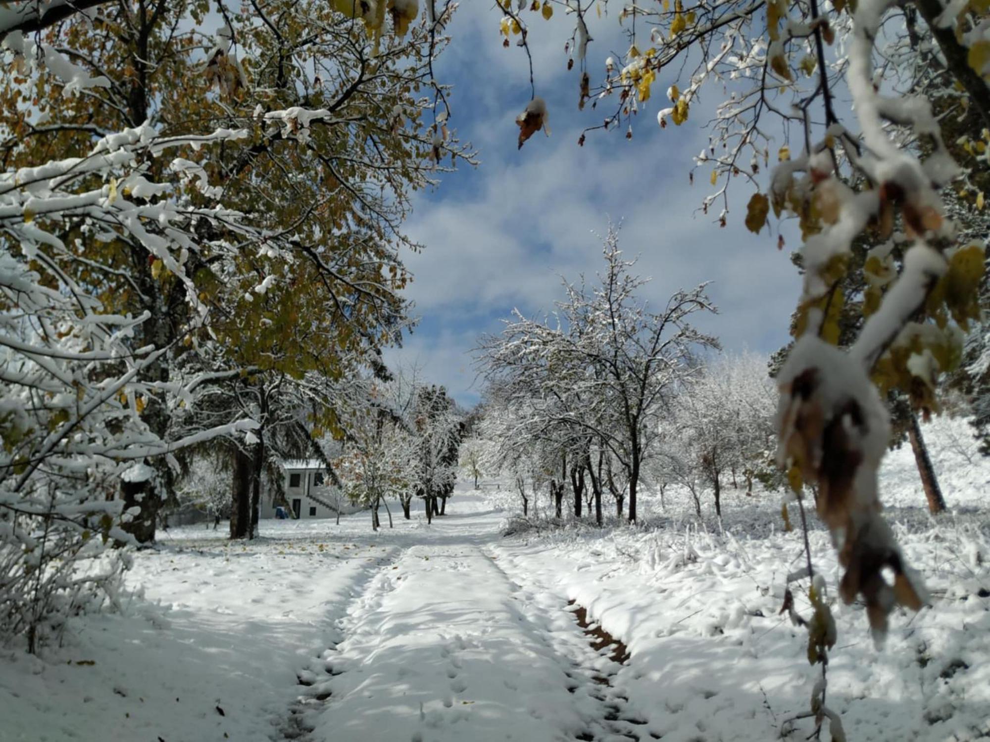 Holiday Home Nanin Konak 2 ヴルドニーク エクステリア 写真