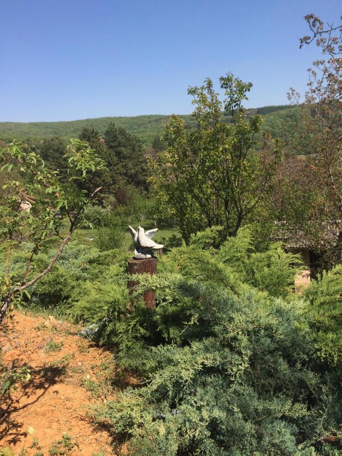 Holiday Home Nanin Konak 2 ヴルドニーク エクステリア 写真