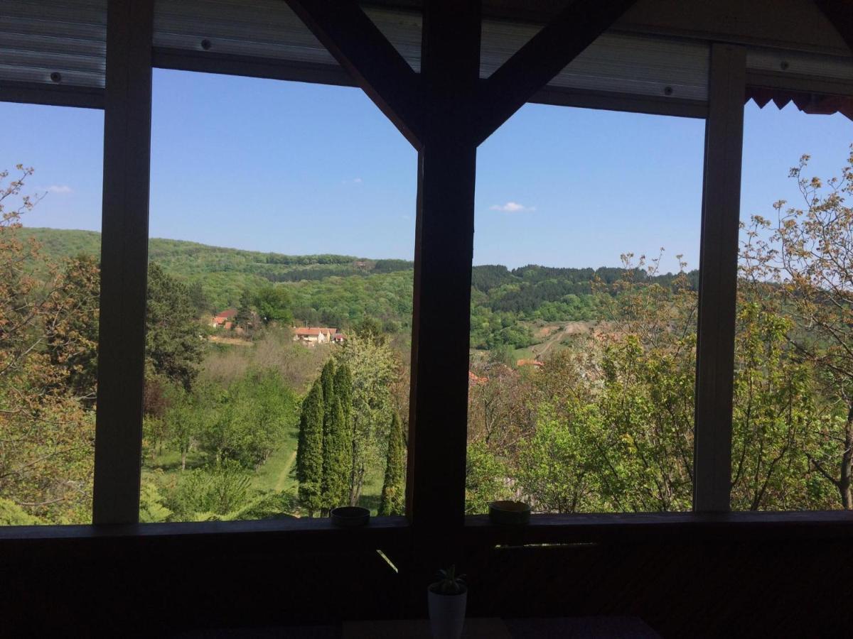 Holiday Home Nanin Konak 2 ヴルドニーク エクステリア 写真